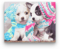  Sapkás kutyák - számfestő készlet