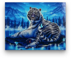 Számfestő Havas Tigris - előszínezett számfestő készlet (50x65cm) (R43115-137-5)