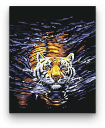  Úszó tigris - számfestő készlet