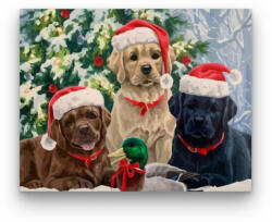 Számfestő Karácsonyi kutyusok - számfestő készlet (crea270)