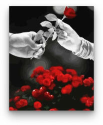  Egy szál rózsa neked - számfestő készlet