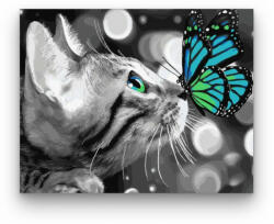  Szürke cica és barátja - számfestő készlet