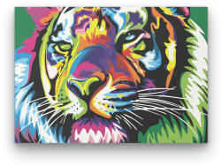  Színes Oroszlán 2 - számfestő készlet