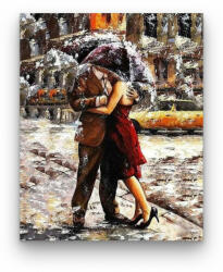  Együtt az Esőben - számfestő készlet