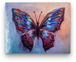 Számfestő Színes pillangó - előszínezett számfestő készlet (50x65cm) (R43115-136-6)