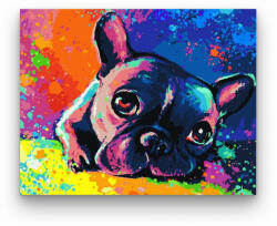  Színes bulldog - számfestő készlet