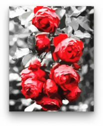 Számfestő Vörös rózsabokor - számfestő készlet (crea327)