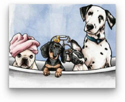 Számfestő Kutyák A Kádban - számfestő készlet (dogs037)