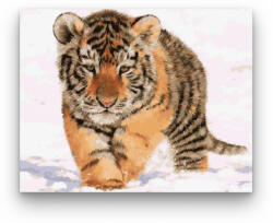  Kis tigris - számfestő készlet