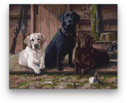  Vadászkutyák - számfestő készlet