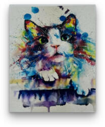 Számfestő Festékes cica - előszínezett számfestő készlet (50x65cm) (R43115-137-2)