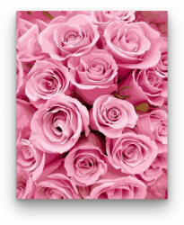  Rózsa tenger - számfestő készlet