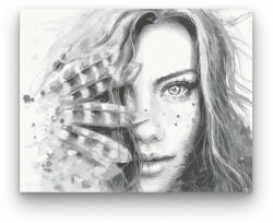  Szürke tollakkal - számfestő készlet