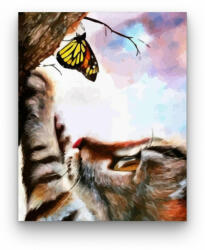  Cica és pillangó - számfestő készlet