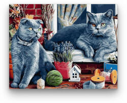  Szürke macskák - számfestő készlet