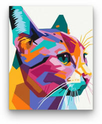 Geometriai Macska - számfestő készlet