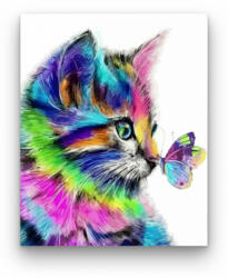  Szivárvány cica és pillangó - számfestő készlet