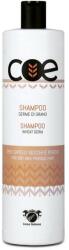Linea Italiana Șampon din germeni de grâu - Linea Italiana COE Wheat Germ Shampoo 500 ml