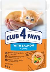 CLUB 4 PAWS Premium Kitten salmon gravy 24x80 g