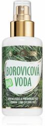PURITY VISION BIO вода за лице в спрей за чувствителна кожа на лицето 100ml