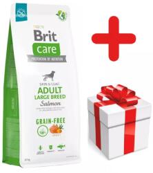Brit BRIT CARE Dog Grain-free Adult Large Breed Salmon 12kg + MEGLEPETÉS A KUTYÁDNAK