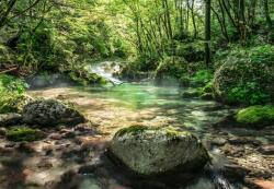 Komar / Consalnet Riverbed, 8 részes poszter, 368x254 cm, Offset 8-135