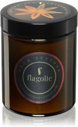 Flagolie Four Seasons Anise & Mint lumânare parfumată 120 g