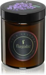 Flagolie Four Seasons Elderberry lumânare parfumată 120 g