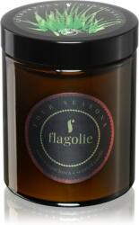 Flagolie Four Seasons Citronella lumânare parfumată 120 g