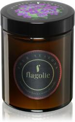Flagolie Four Seasons Verbena lumânare parfumată 120 g