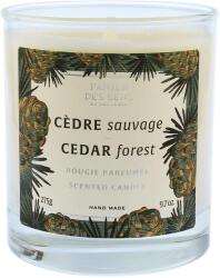 Panier des Sens Cedar Forest lumânări parfumate 275 g