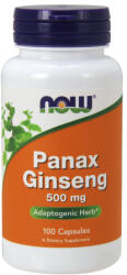 NOW NOW Panax Ginseng 500mg 100 kapszula