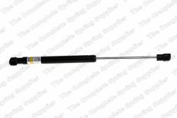 RINGER Amortizor portbagaj RINGER 1510053832 (1510053832)