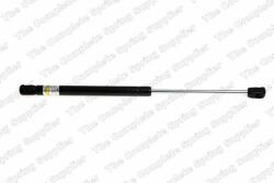 RINGER Amortizor portbagaj RINGER 1510053014 (1510053014)