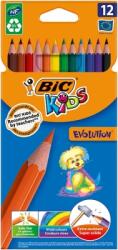 BIC Creioane colorate 12 culori Evolution Bic 82902914 (82902910)