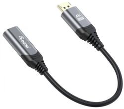 Equip DisplayPort 1.2/1.2a HDMI Convertor Negru 15cm 133445 (133445)