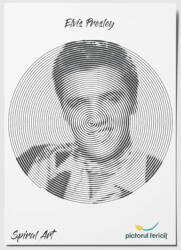 Pictorul Fericit Elvis Presley - Spiral Art Panza pictura