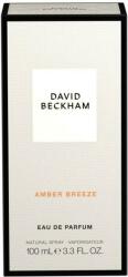 David Beckham Amber Freeze EDP 100 ml