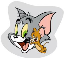 Halantex Tom és Jerry formapárna, díszpárna 32*32 cm (CBX496318)