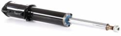 MTR amortizor MTR MT3699 (MT3699) - automobilus