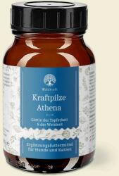  Waldkraft - Athena - amestec de pulbere de ciuperci miraculoase