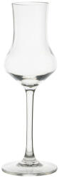 Gimex ROY Grappa glass 2pcs pohár