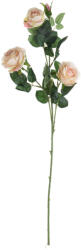  Selyemvirág rózsa ág 4 fejjel, 64.5cm magas - Pezsgő (AF024-02)