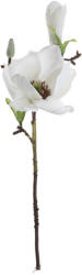 Magnolia ág, 37cm magas - Fehér (AF025-01)