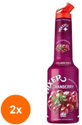 Mixer Set 2 x Pulpa de Merisor, Mixer 100% Concentrat Piure Fructe Cranberry, 1 l
