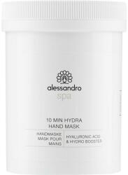 Alessandro International Mască de mâini - Alessandro International Spa 10 Min Hydra Hand Mask Salon Size 300 ml