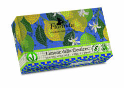 Florinda Mozaik tengerparti citrom szappan 200g