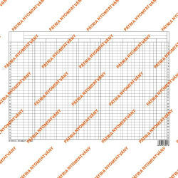 Könyvelési statisztikai gyüjtőív szabadlap 420x295 mm