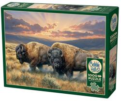Cobble Hill 1000 db-os puzzle - Dusty Plains (40192)