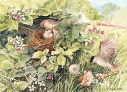 Cobble Hill 40162 - Hidden Nest - 1000 db-os puzzle (40162)